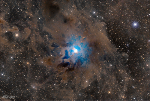 NGC7023 Irisnebel